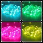 RGB Светлинен Гирлянд с 50 LED и Дистанционно Управление (5м) – FESTILUMO®, rgb svetlinen girlyand s 50 led i distancionno upravlenie 5m festilumo