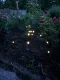Прикачено изображение от потребител 1 за Соларни LED Лампи Светулки (6 Крушки) - SOMPEX® 1+1 БЕЗПЛАТНО 🎁.