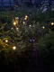 Прикачено изображение от потребител 1 за Соларни LED Лампи Светулки (6 Крушки) - SOMPEX® 1+1 БЕЗПЛАТНО 🎁.