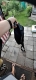 Прикачено изображение от потребител 1 за Мъжка Спортна Чанта - BATOMIK®.